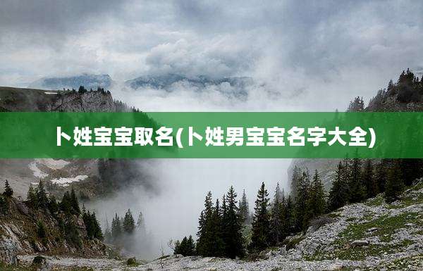 卜姓宝宝取名(卜姓男宝宝名字大全)