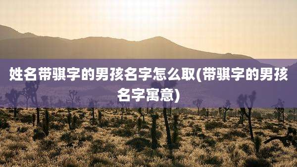姓名带骐字的男孩名字怎么取(带骐字的男孩名字寓意)