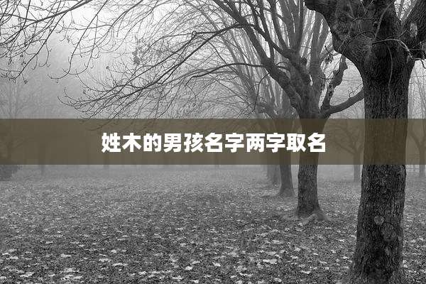姓木的男孩名字两字取名