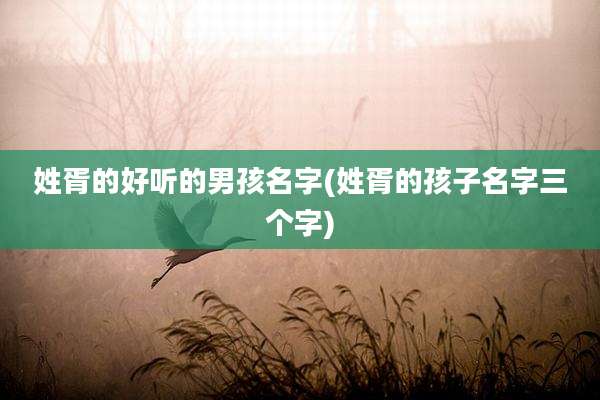 姓胥的好听的男孩名字(姓胥的孩子名字三个字)