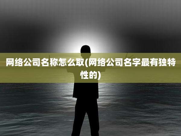 网络公司名称怎么取(网络公司名字最有独特性的)