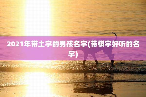 2021年带土字的男孩名字(带棋字好听的名字)