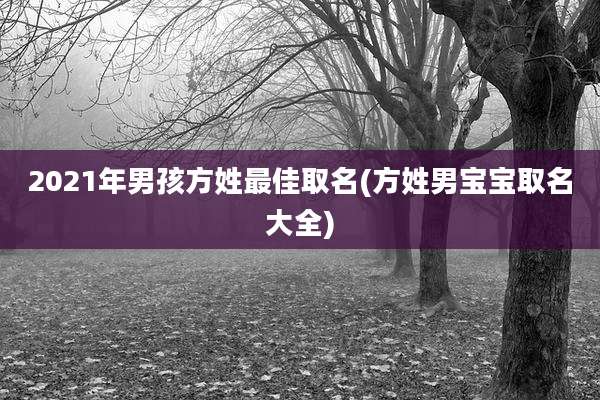 2021年男孩方姓最佳取名(方姓男宝宝取名大全)