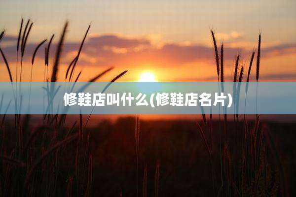 修鞋店叫什么(修鞋店名片)