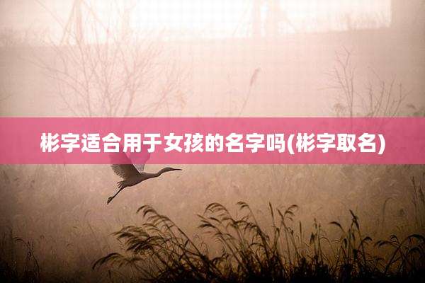 彬字适合用于女孩的名字吗(彬字取名)