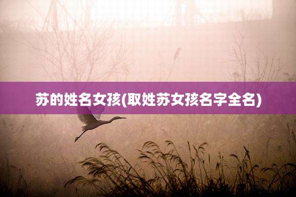 苏的姓名女孩(取姓苏女孩名字全名)