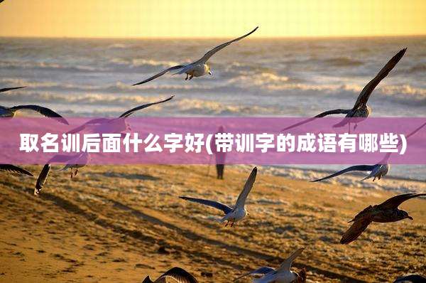 取名训后面什么字好(带训字的成语有哪些)