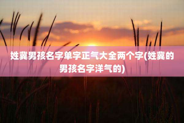 姓冀男孩名字单字正气大全两个字(姓冀的男孩名字洋气的)