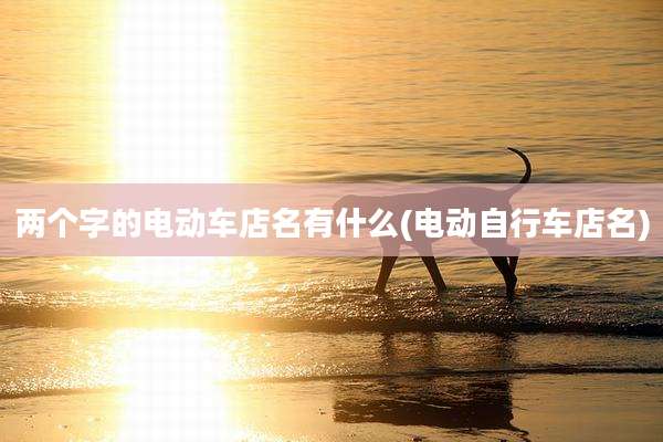 两个字的电动车店名有什么(电动自行车店名)