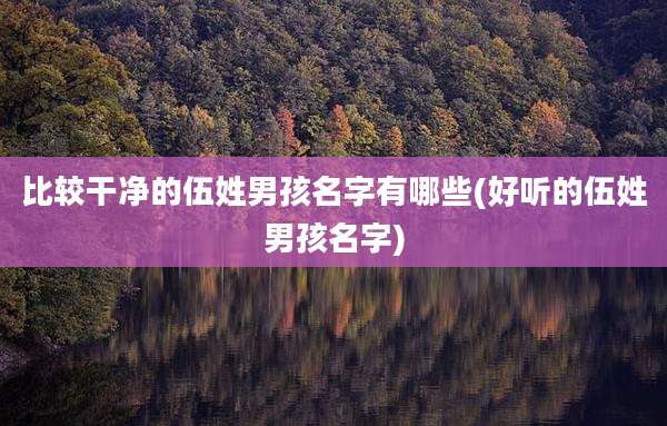 比较干净的伍姓男孩名字有哪些(好听的伍姓男孩名字)