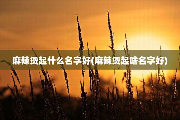麻辣烫起什么名字好(麻辣烫起啥名字好)