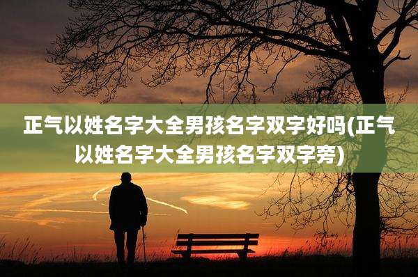 正气以姓名字大全男孩名字双字好吗(正气以姓名字大全男孩名字双字旁)