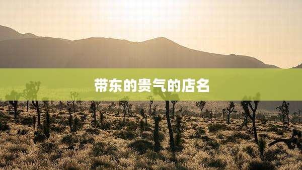 带东的贵气的店名