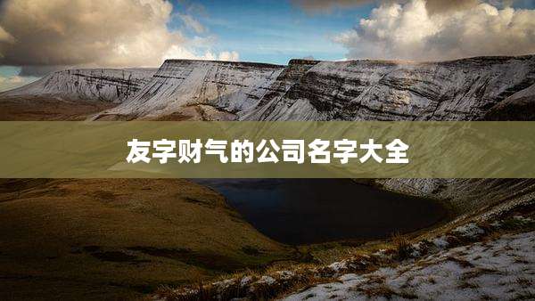 友字财气的公司名字大全