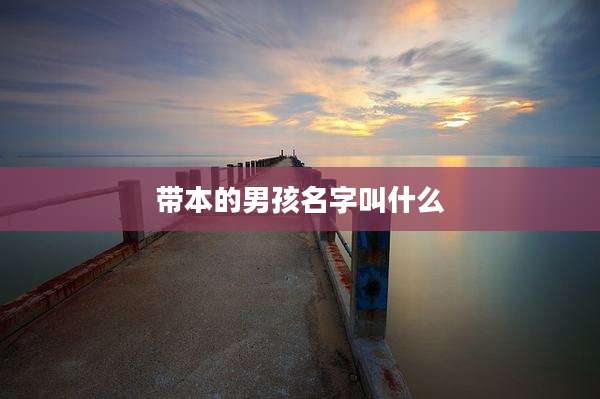 带本的男孩名字叫什么