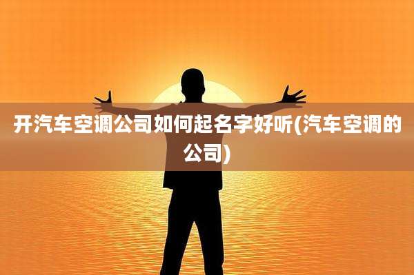 开汽车空调公司如何起名字好听(汽车空调的公司)