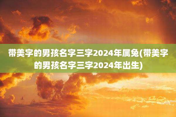 带美字的男孩名字三字2024年属兔(带美字的男孩名字三字2024年出生)