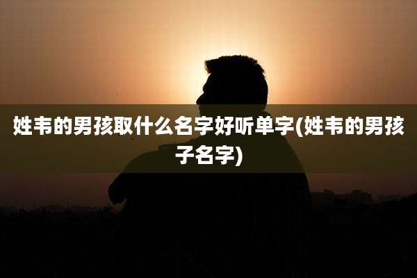 姓韦的男孩取什么名字好听单字(姓韦的男孩子名字)