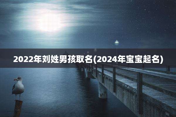 2022年刘姓男孩取名(2024年宝宝起名)