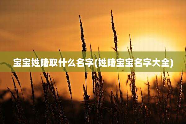 宝宝姓陆取什么名字(姓陆宝宝名字大全)