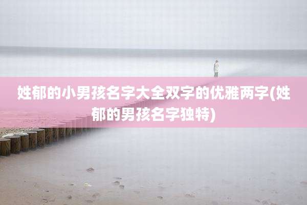 姓郁的小男孩名字大全双字的优雅两字(姓郁的男孩名字独特)