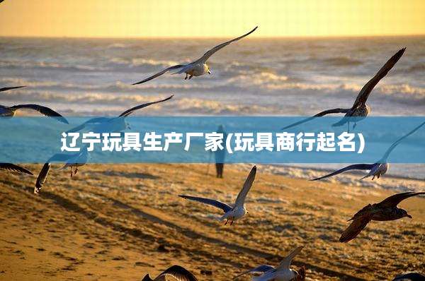 辽宁玩具生产厂家(玩具商行起名)