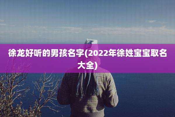 徐龙好听的男孩名字(2022年徐姓宝宝取名大全)