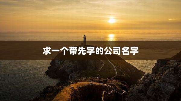 求一个带先字的公司名字
