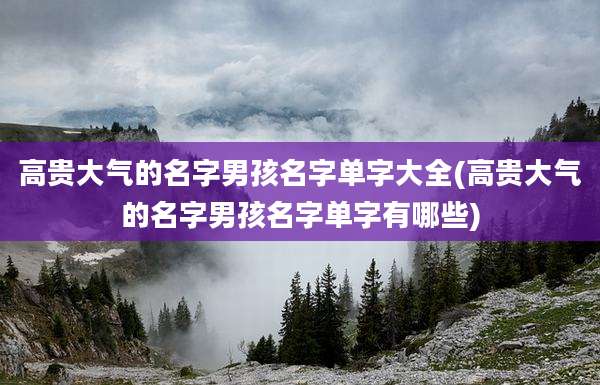 高贵大气的名字男孩名字单字大全(高贵大气的名字男孩名字单字有哪些)