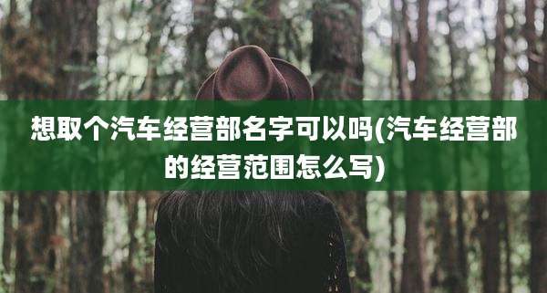 想取个汽车经营部名字可以吗(汽车经营部的经营范围怎么写)
