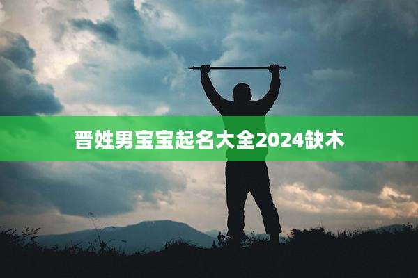 晋姓男宝宝起名大全2024缺木