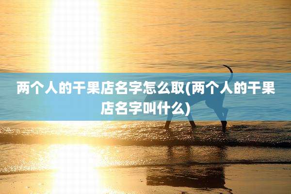 两个人的干果店名字怎么取(两个人的干果店名字叫什么)
