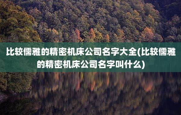 比较儒雅的精密机床公司名字大全(比较儒雅的精密机床公司名字叫什么)