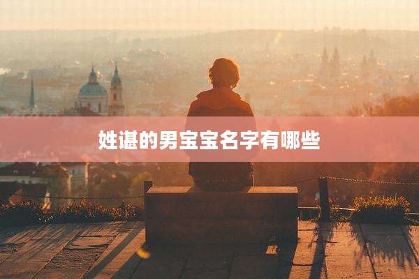 姓谌的男宝宝名字有哪些