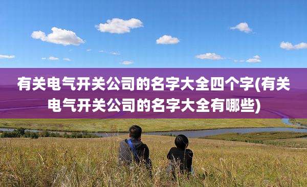 有关电气开关公司的名字大全四个字(有关电气开关公司的名字大全有哪些)