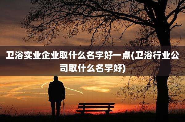 卫浴实业企业取什么名字好一点(卫浴行业公司取什么名字好)