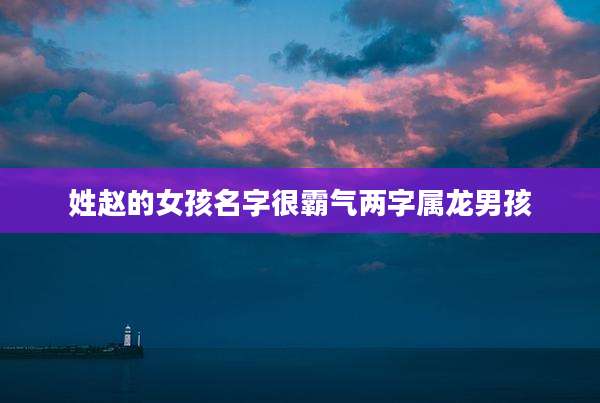 姓赵的女孩名字很霸气两字属龙男孩
