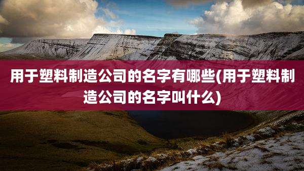 用于塑料制造公司的名字有哪些(用于塑料制造公司的名字叫什么)