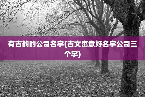 有古韵的公司名字(古文寓意好名字公司三个字)