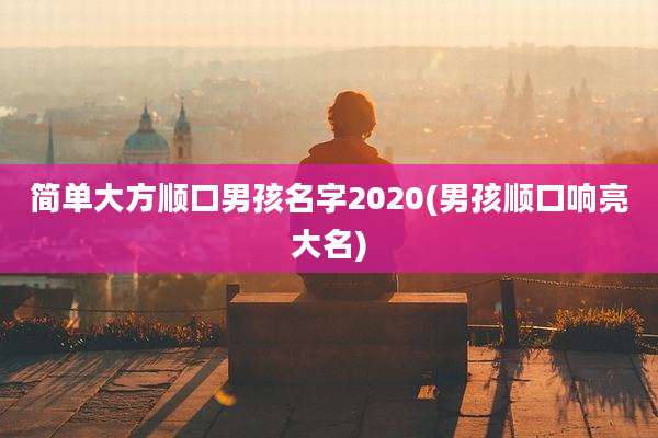 简单大方顺口男孩名字2020(男孩顺口响亮大名)
