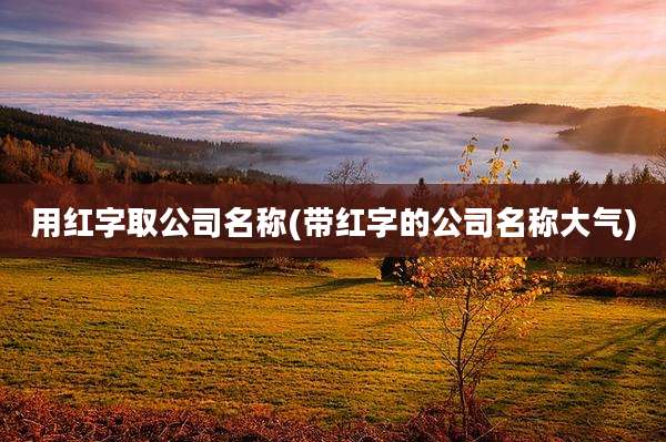 用红字取公司名称(带红字的公司名称大气)