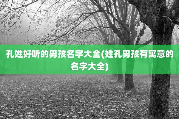 孔姓好听的男孩名字大全(姓孔男孩有寓意的名字大全)