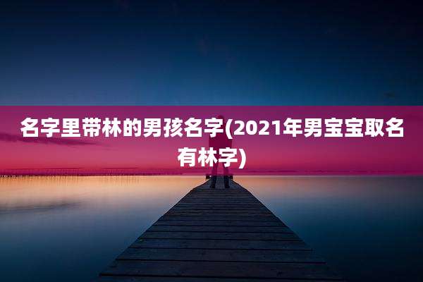 名字里带林的男孩名字(2021年男宝宝取名有林字)