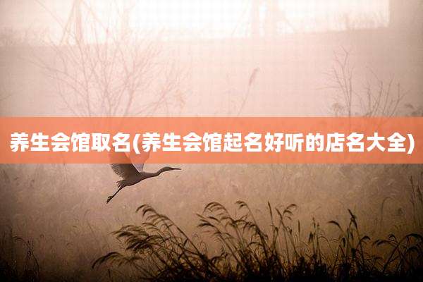 养生会馆取名(养生会馆起名好听的店名大全)