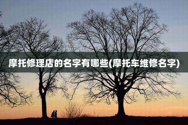摩托修理店的名字有哪些(摩托车维修名字)