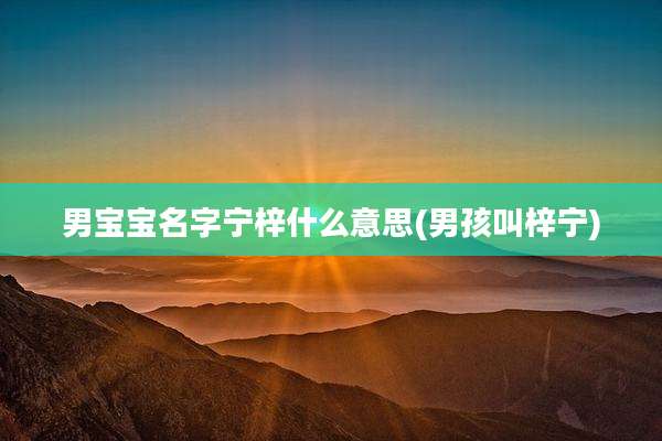 男宝宝名字宁梓什么意思(男孩叫梓宁)