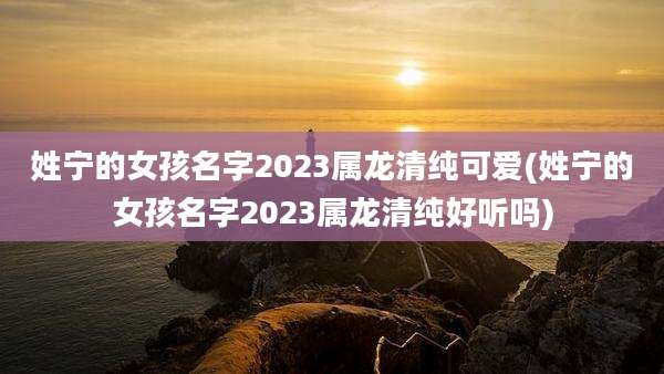 姓宁的女孩名字2023属龙清纯可爱(姓宁的女孩名字2023属龙清纯好听吗)