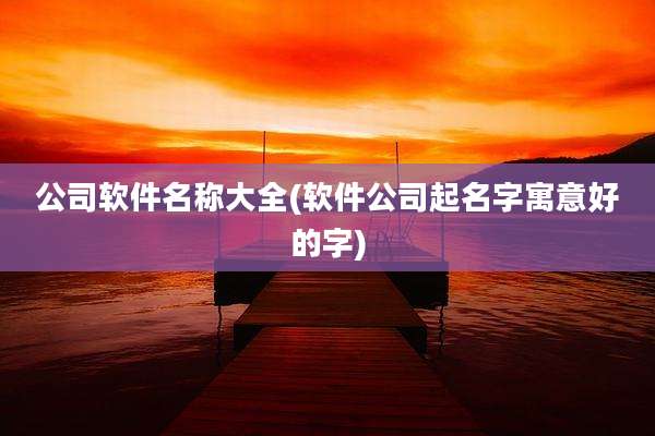 公司软件名称大全(软件公司起名字寓意好的字)