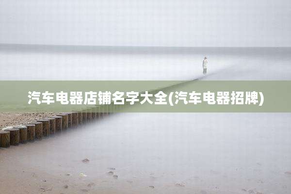 汽车电器店铺名字大全(汽车电器招牌)