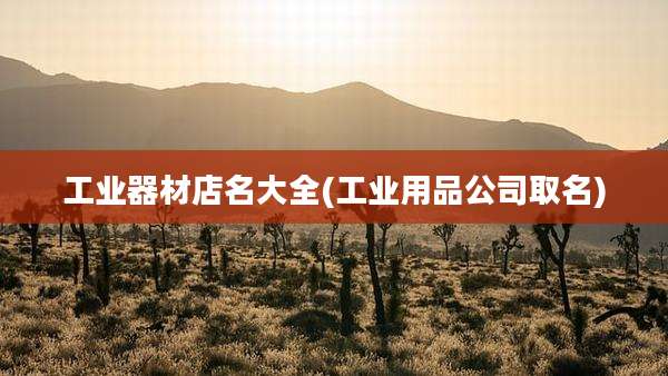 工业器材店名大全(工业用品公司取名)